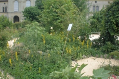 Laby-Zürich-1